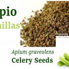 Semillas de APIO 3 LIBRAS Hierbas CELERY seeds Apium graveolen 3 LBS HerbsTeas