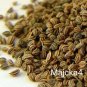 Semillas de APIO 3 LIBRAS Hierbas CELERY seeds Apium graveolen 3 LBS HerbsTeas