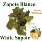 Zapote Blanco Sapote Blanco ½ oz 6 bolsas hierbas  White Sapote 4 oz herbal tea