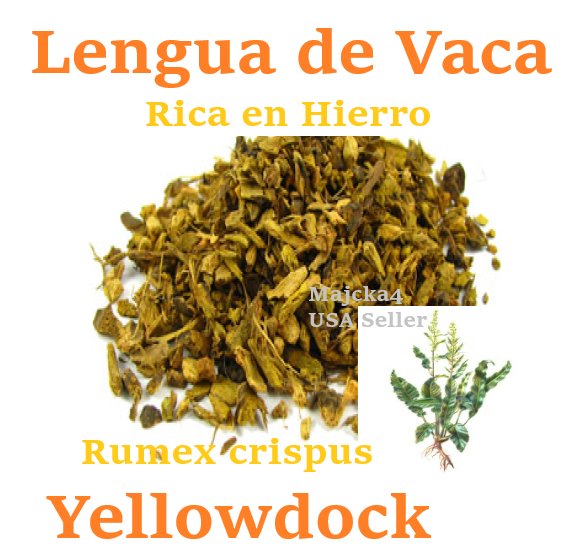 Lengua de vaca Raiz 1 LIBRA Hierbas Yellowdock Root Rumex crispus  1 POUND Herbs