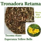 TRONADORA BULK 10lbs RETAMA DIABETINA ESPERANZA YELLOW BELL hierba amarga Bitter