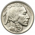 1913 Type 1 Buffalo Nickel Five Cents A Very Rare & Sought After Collectors Copy Coin