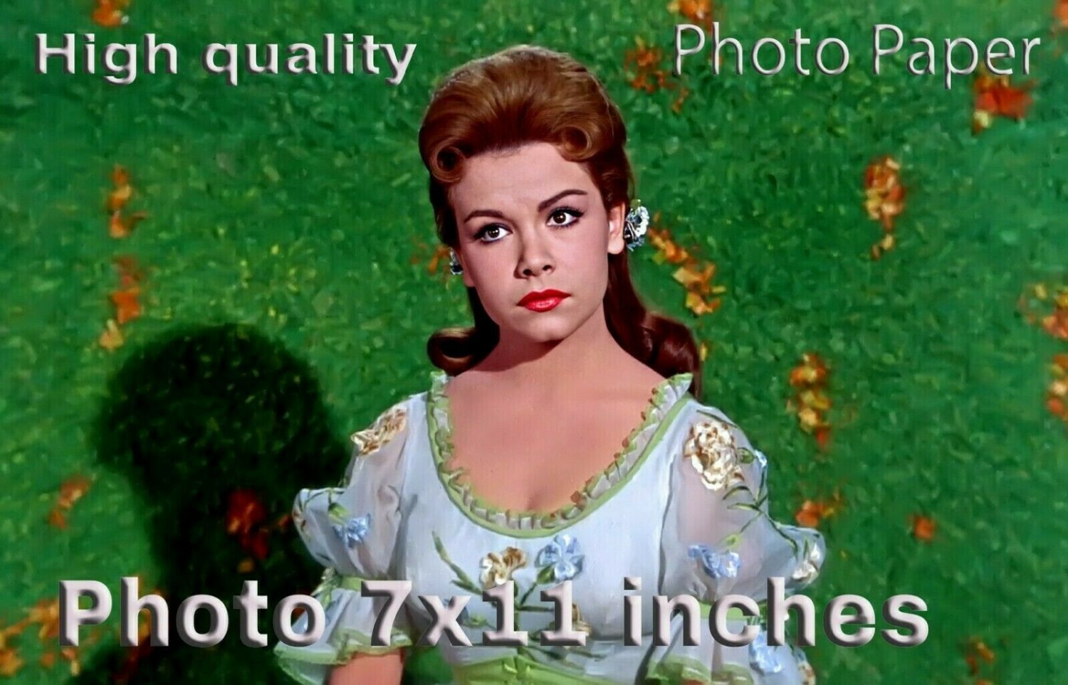 Annette Funicello Babes in Toyland PHOTO HQ 11x7 inches #01