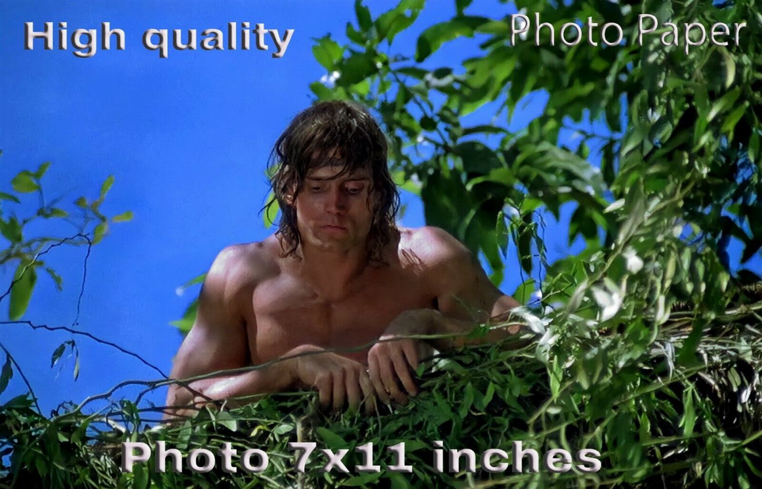 Miles Okeeffe Tarzan The Ape Man Photo Hq 11x7 Inches 04