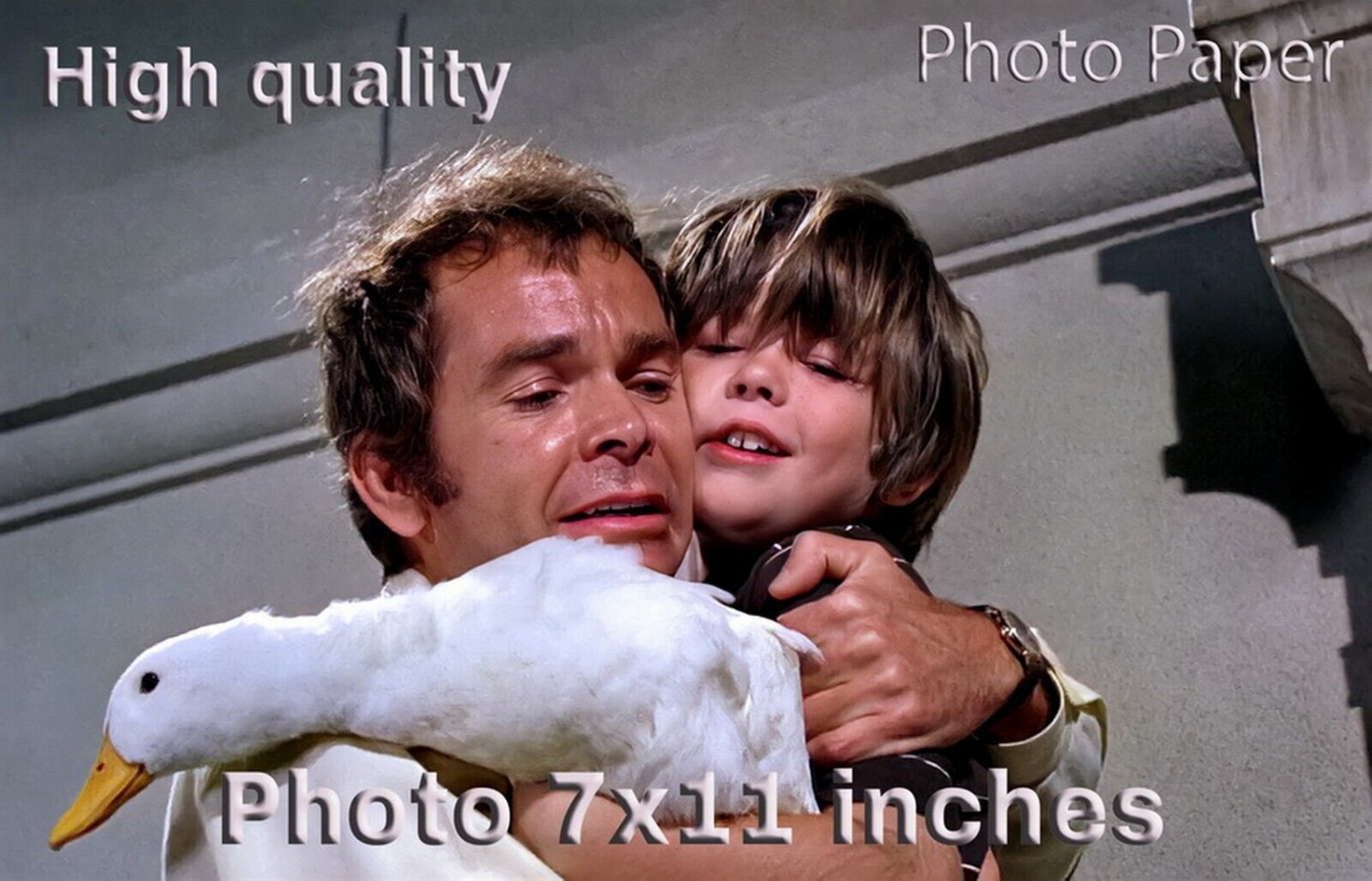 Lee Montgomery Dean Jones The Million Dollar Duck PHOTO HQ 11x7 inches #01