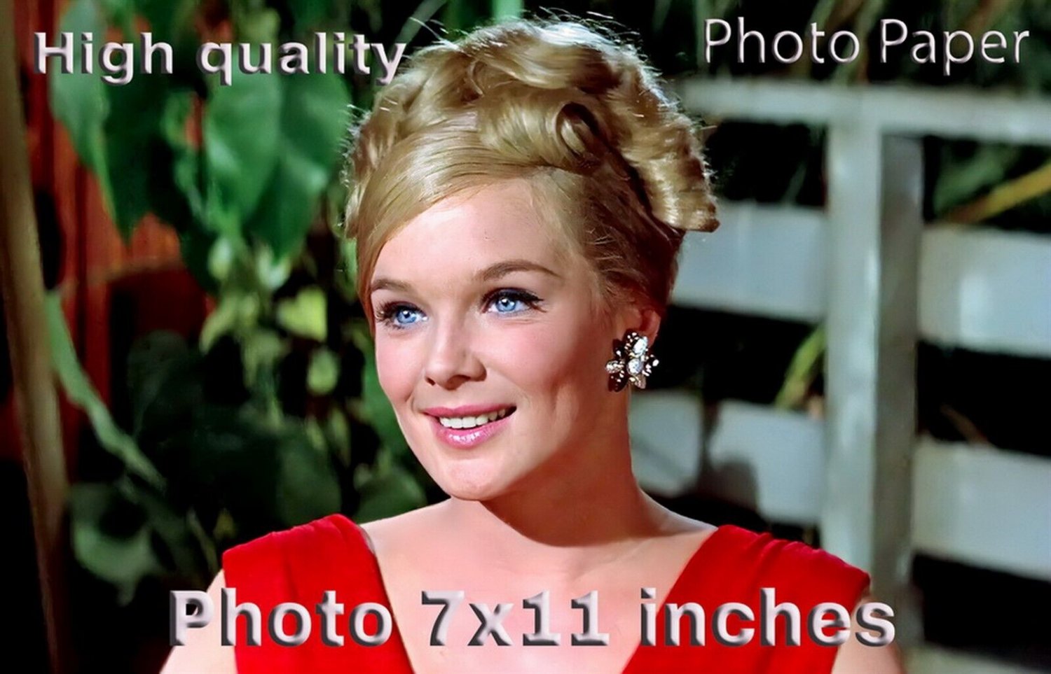 Linda Evans Beach Blanket Bingo PHOTO 11x7 inches #01