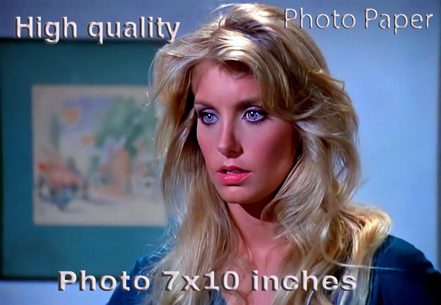 Heather Thomas The FALL GUY PHOTO HQ 10x7 inches 03