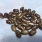 Castor oil seeds 100% natural Ricinus communis hundsbaum seeds