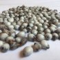 Job's tear beads 100% natural beads for craft works Coix lacryma jobi natural seeds