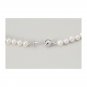 Freshwater Pearl Standard Necklace