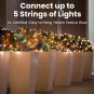 100-Count Multi Color Christmas Lights Outdoor Indoor Colored Twinkle Xmas Tree Lights