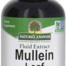 Mullein Leaf Herbal Supplement Supports Healthy Respiratory Function & Healthy Mucous Membranes