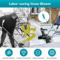 20" Cordless Snow Thrower with 2 Battery