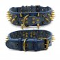 Spiked Dog Collar