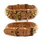Spiked Dog Collar