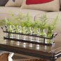 8 Piece Gollub Clear Glass Table Vase Set