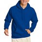 Pullover EcoSmart Hooded Sweatshirt Men's