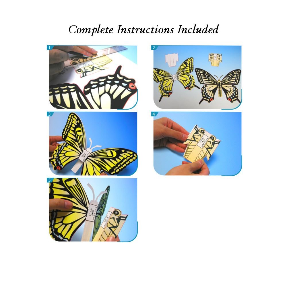 Butterfly Paper Model Paper Craft Template PDF Download