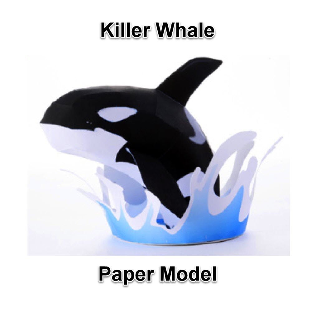 Killer Whale Paper Model Paper Craft Template Pdf Download