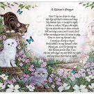 A Kitten's Prayer on Playful Kitten Art 8.5 x 11