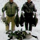 MICHIGAN EARLY or LATE SEASON GOOSE HUNTING