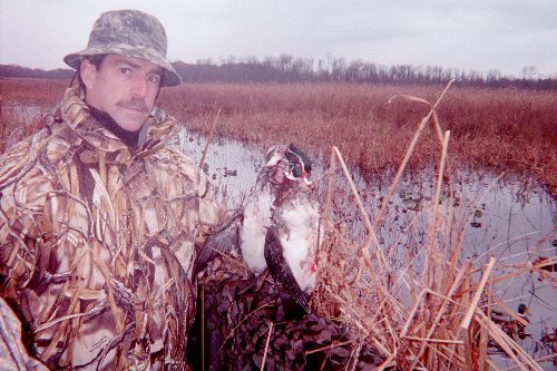 MICHIGAN DUCK HUNTING