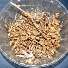 Macedonian Prilep Tobacco seeds With over 2,000 seeds available from the 2022 crop
