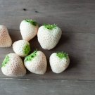 White Pineberry  500 White Strawberry (White Pineberry) seeds