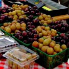 come across a listing for a Muscadine/Scuppernong mix of 12 seeds