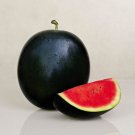 10 WatermelonSeeds - Sugar Baby - Variety Early Maturing Summer Fruit