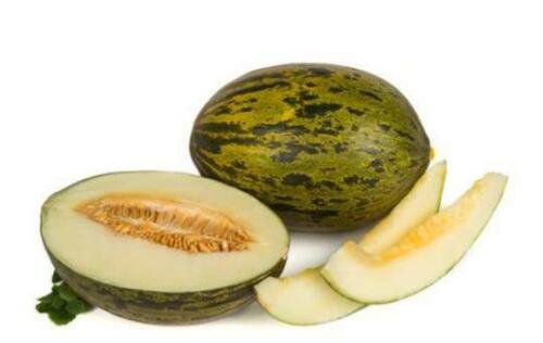 20 Melon Santa Seeds - White Sweet Juicy Delicious Flavors - Easy To Grow