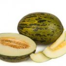 20 Melon Santa Seeds - White Sweet Juicy Delicious Flavors - Easy To Grow
