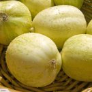 15 Cucumber Seeds - Crystal Apple seeds - Easy To Grow