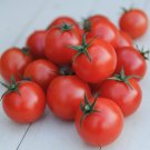 15 Tomato Garden Delight Seeds - Summer Vegetable Garden Fruit Seeds - Easy To Grow