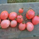 15 Thai Pink Egg Tomato Seeds - Vegetable Garden Fruit Seeds - Easy To Grow