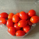 15 Tomato Cherry Roma Seeds - Vegetable Garden Fruit Seeds - Easy To Grow