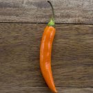 7 Chilli Orange Cobra Seeds - Vegetable Garden Fruit Seeds - Easy To Grow