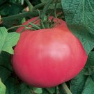 10 Tomato Brandywine Pink Seeds - Vegetable Garden Fruit Seeds - Easy To Grow