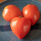15 Oxheart Red Tomato Seeds - Vegetable Garden Fruit Seeds - Easy To Grow