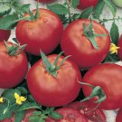 15 Tomato Red Russian Seeds - Vegetable Garden Fruit Seeds - Easy To Grow