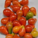 50 Tomato Red Fig Semi-Indeterminate Seeds - Vegetable Garden Fruit Seeds - Easy To Grow
