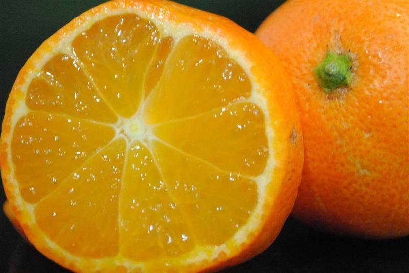 5 Mandarin Lime Citrus Seeds - Garden Fruit Seeds - Easy To Grow