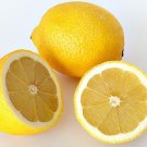 5 Meyer Lemon Citrus Fruit Seeds - Garden Fruit Seeds - Easy To Grow
