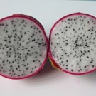 50 Fresh Seeds White Flash Dragon Fruit Seeds - Garden Fruit Seeds - Easy To Grow