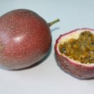 30 Fresh Seeds Passionfruit Big Panama Red Seeds - Garden Fruit Seeds - Easy To Grow