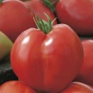 25 Fresh Seeds Tomato (Ox Heart) Seeds - Garden Fruit Seeds - Easy To Grow