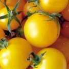 30 Fresh Seeds Tomato Yellow Cherry Honeybee Seeds - Garden Fruit Seeds - Easy To Grow