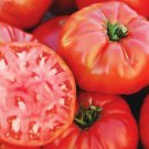 25 Seeds Tomato (Mortgage Lifter) Seeds - Garden Fruit Seeds - Easy To Grow