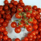30 Seeds Tomato (Red Currant) Seeds - Garden Fruit Seeds - Easy To Grow