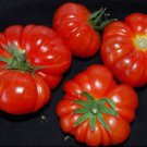 15 Seeds Tomato (Rouge De Marmande) Seeds - Garden Fruit Seeds - Easy To Grow